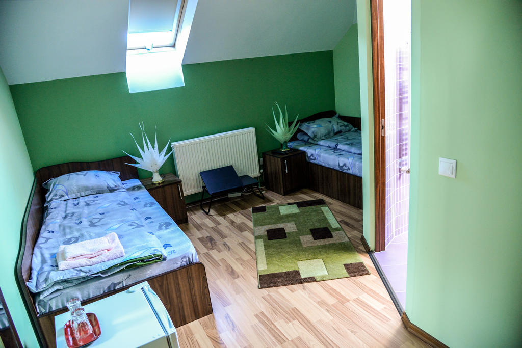 Pensiunea Andrei Rm Valcea Ramnicu Valcea Room photo