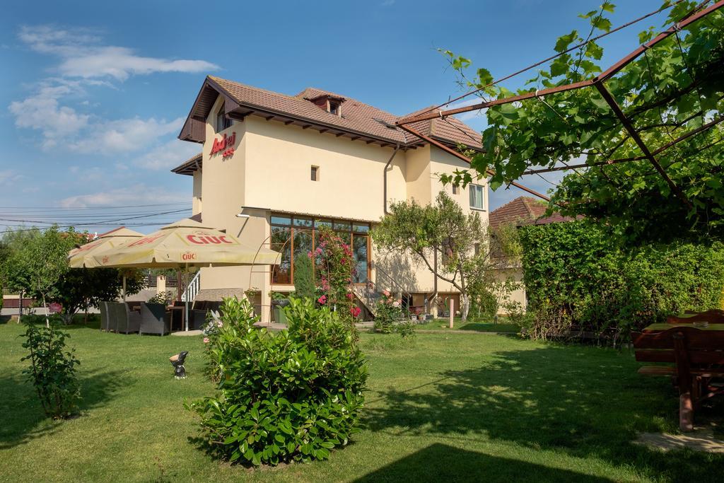 Pensiunea Andrei Rm Valcea Ramnicu Valcea Exterior photo